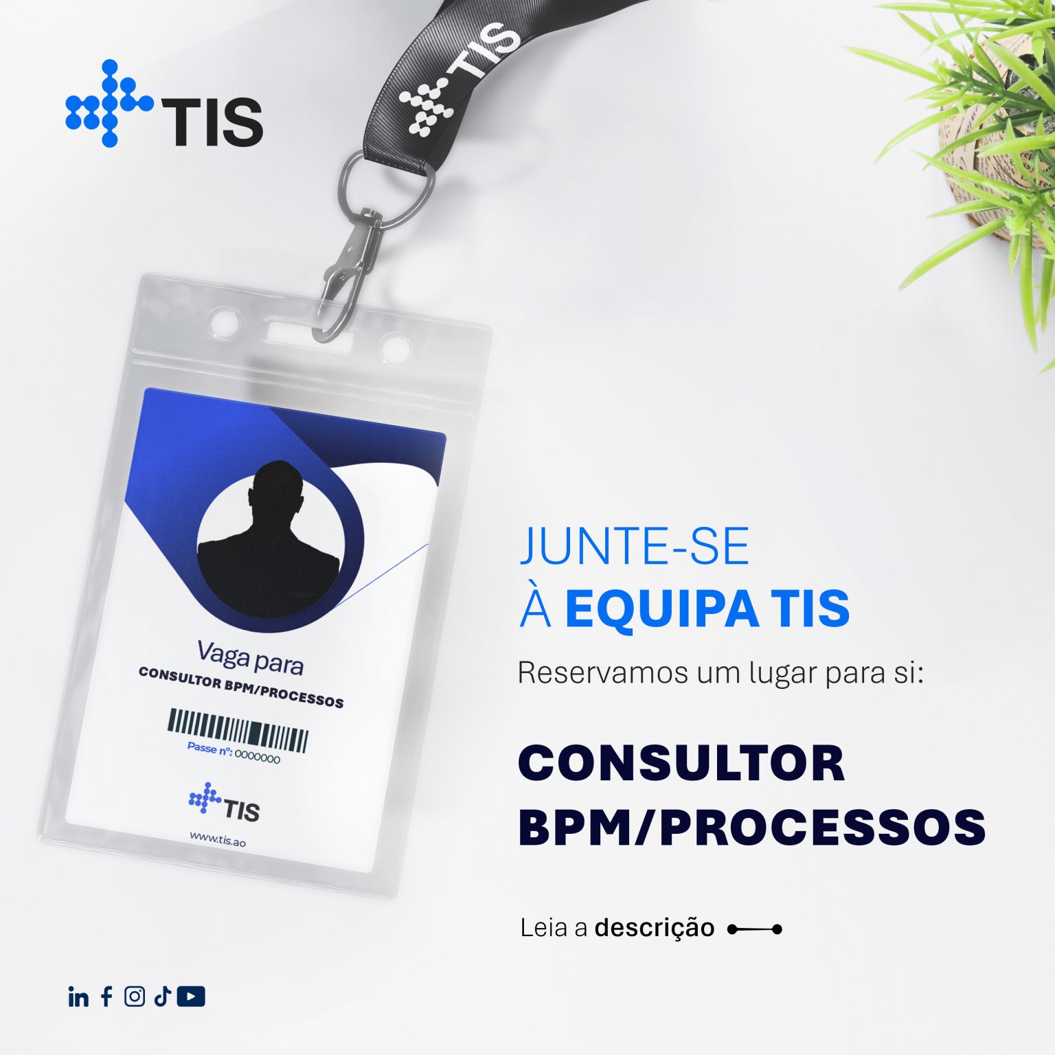 Vaga para Consultor de BPM (m/f) na TIS
