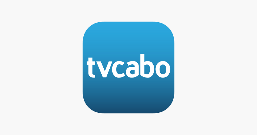 Vaga para Director do Centro de Serviços de Apoio ao Cliente — Assistência Técnica (M/F)