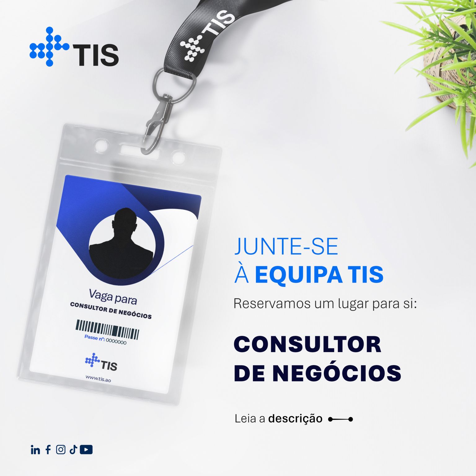 Vaga para Consultor de Negócio (m/f) na TIS
