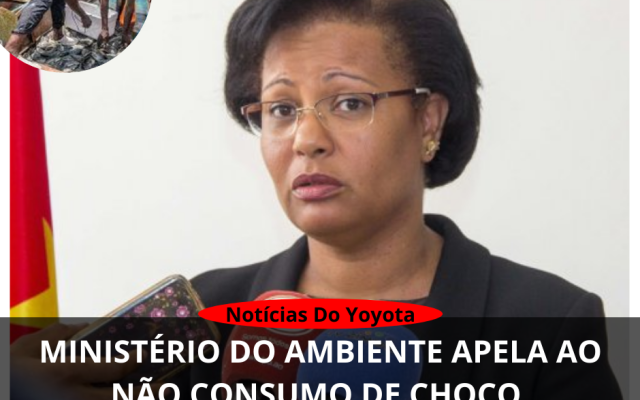 Ministério do Ambiente apela ao não consumo de choco, mabanga e raias